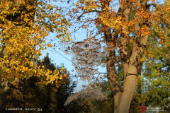 Fotografie - úprava - 26